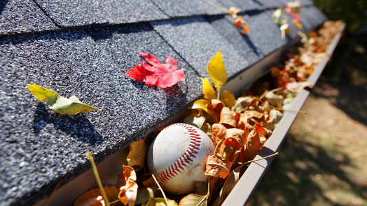 Gutter Cleaning