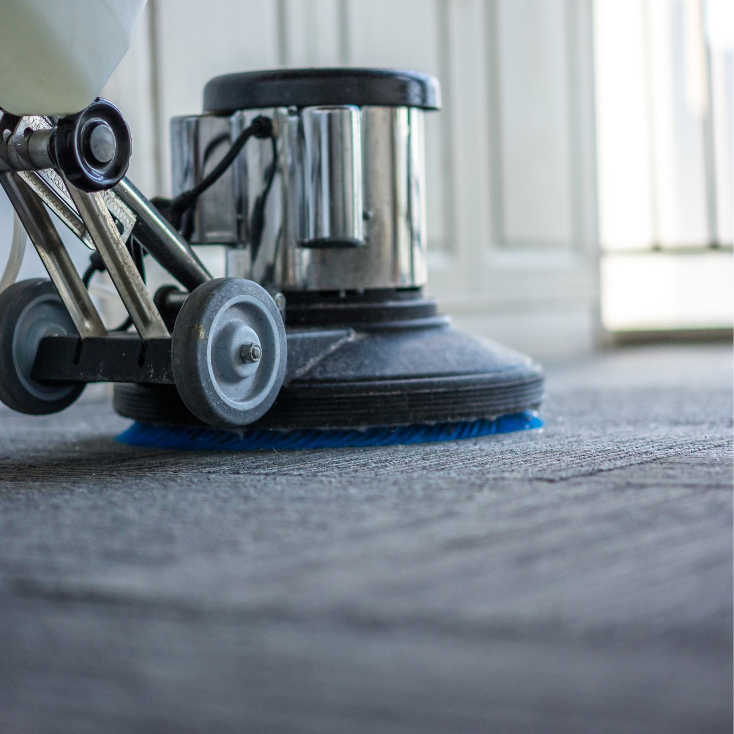 Carpet Cleaning